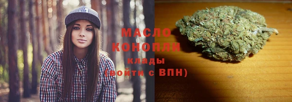 тгк Абаза