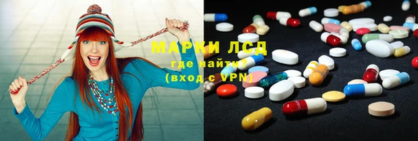 прущие грибы Абинск