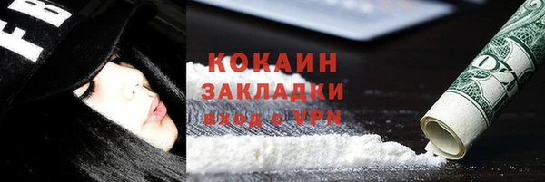 прущие грибы Абинск