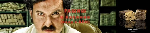 прущие грибы Абинск
