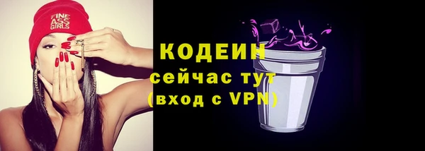 тгк Абаза