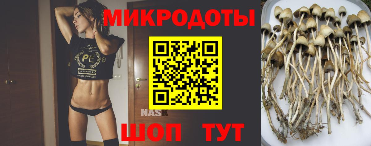 Галлюциногенные грибы прущие грибы Азов