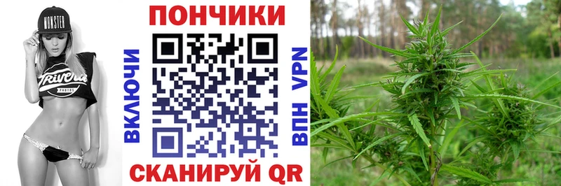 наркотики  Азов  Конопля сатива 